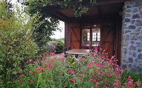 Le Chalet Des Laves